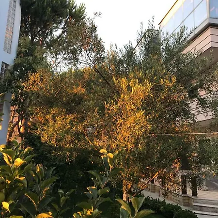 Villa Dea *